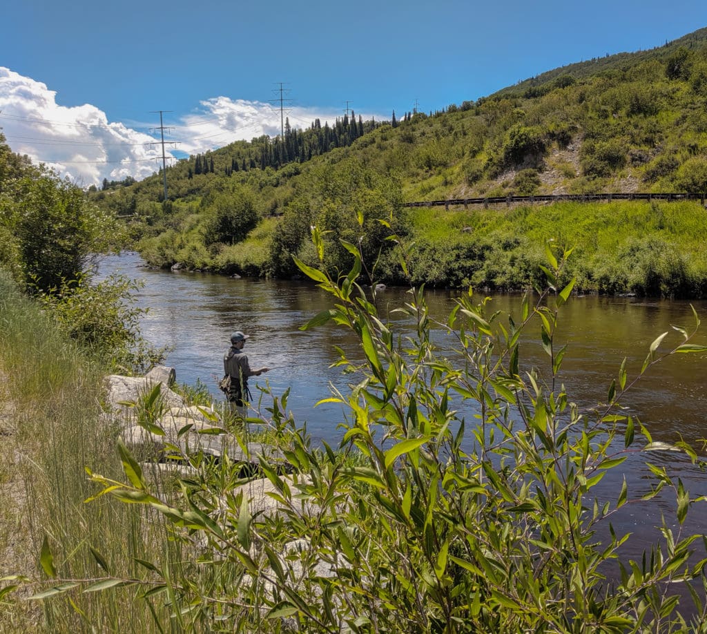 Fishing on the Yampa River - Steamboat Springs Summer