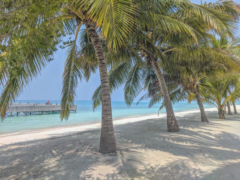 Maldives on a Budget: Overwater Bungalows, Luxury, & More!