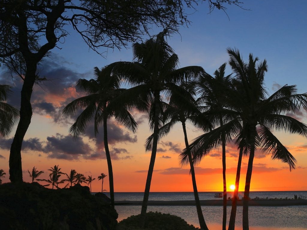 Sun Setting In The Distance Behind Palm Trees Looking Out Over The Ocean.