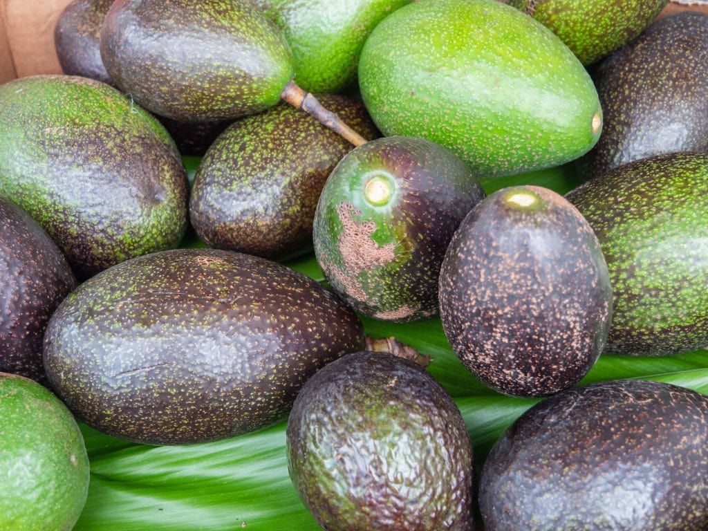 An Entire Frame Full of Avocados