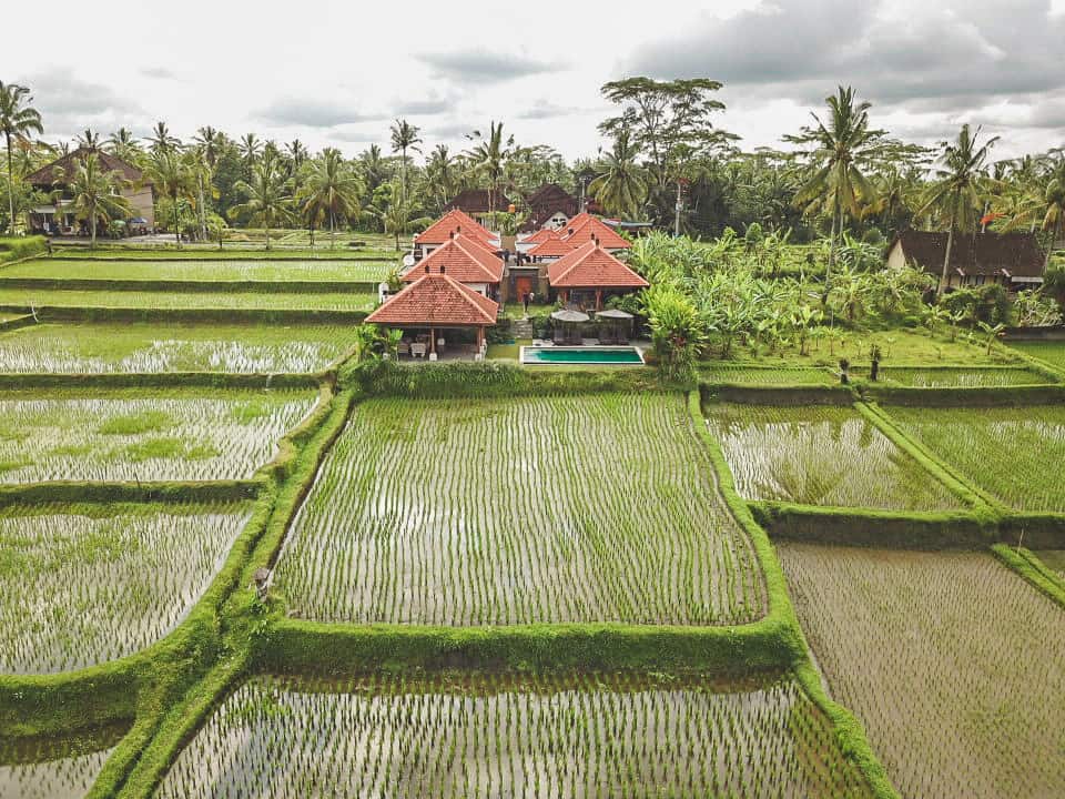 Where To Stay in Ubud, Bali Itinerary 10 Days